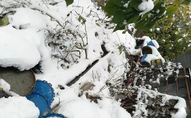 今年冬天有多冷 今年冬天是寒冬还是暖冬