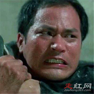 狄威和狄龙是什么关系 两个人的职业是一样的