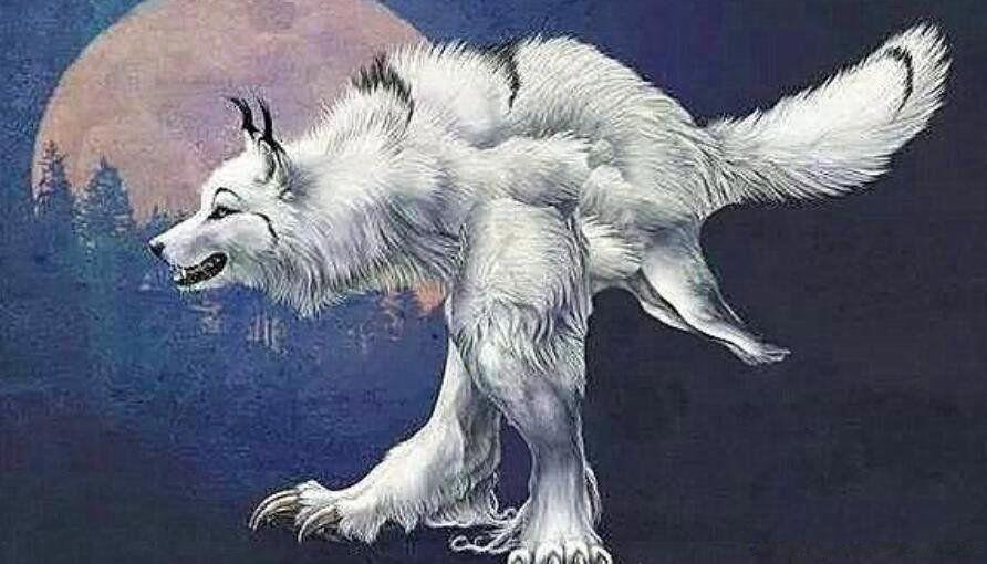 狈是什么动物的杂交 狈到底是什么真实存在的吗