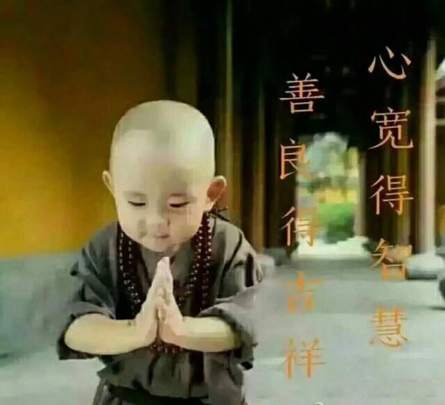 花开堪折直须折,莫待无花空折枝意思 全诗表达的是什么