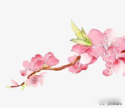 花开堪折直须折,莫待无花空折枝意思 全诗表达的是什么