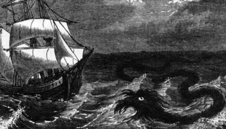 巨型大海蛇图片 十大未解之谜深海巨蛇被拍到3次