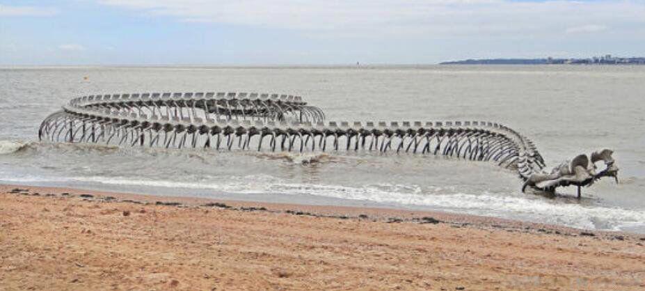 巨型大海蛇图片 十大未解之谜深海巨蛇被拍到3次