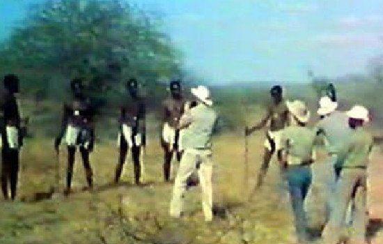 非洲象人族吃什么特有植物 最长56厘米的真相