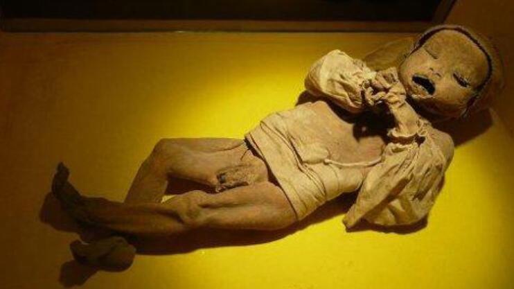 泰国干尸博物馆图片 变态尸体都是什么人