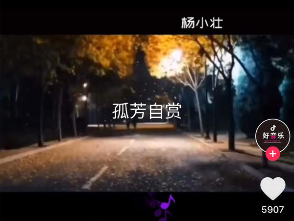 我承认我自卑我真的很怕黑是什么歌，孤芳自赏歌曲介绍