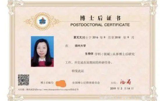 中国最高学历是什么学历 是研究生还是博士后