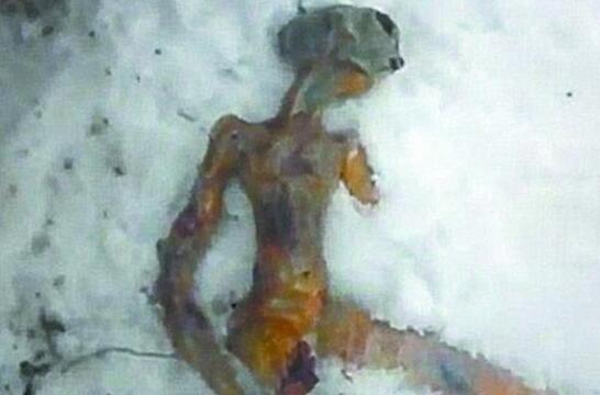 七大外星人图片真实照片 神秘尸体是什么样子的