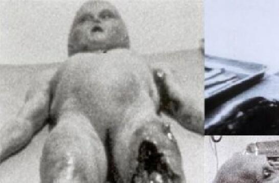 七大外星人图片真实照片 神秘尸体是什么样子的