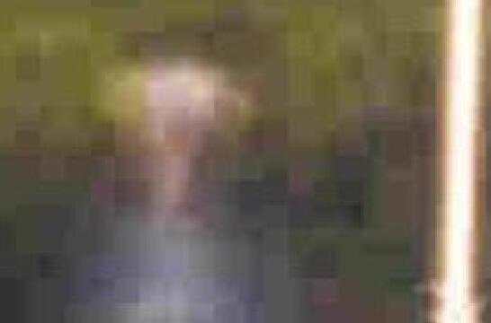 七大外星人图片真实照片 神秘尸体是什么样子的