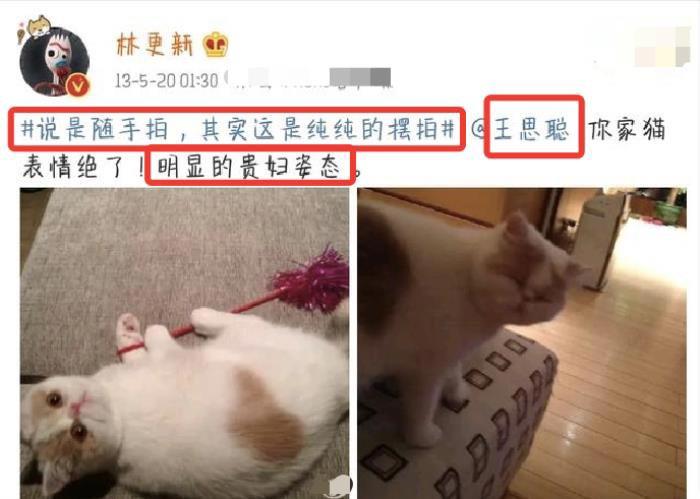 王思聪和林更新是什么关系 亲密程度透露出满满基情