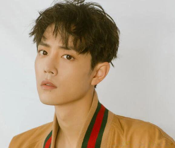 肖战原名叫什么名字 鹅太子是怎么回事