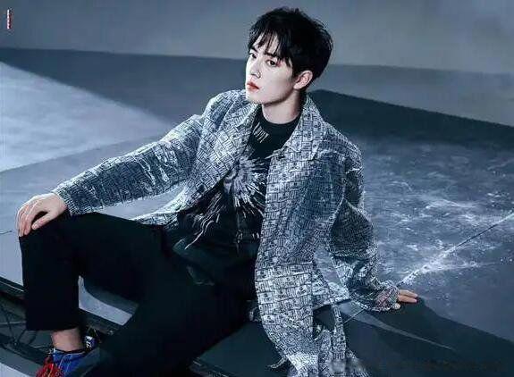 肖战原名叫什么名字 鹅太子是怎么回事