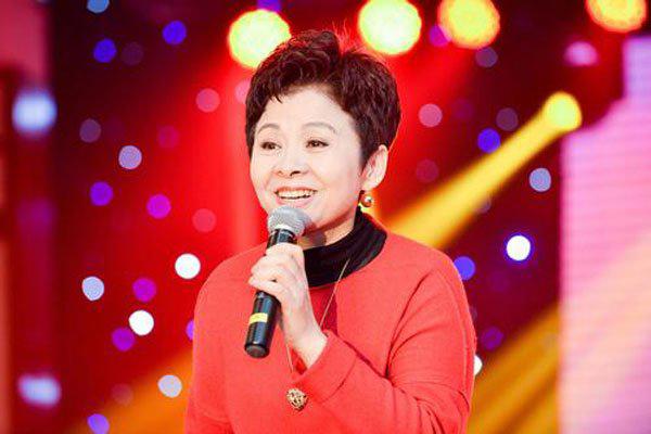 董文华红楼事件是什么意思 红楼的视频并不是她