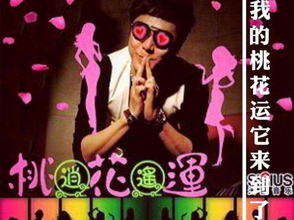 我一直在寻找爱情的目标是什么歌，桃花运歌曲介绍