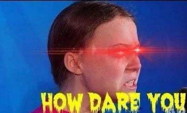 how dare you什么意思中文 环保少女的表情包什么梗