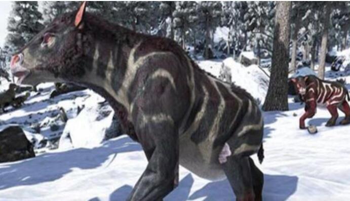 驴头狼的图片是什么动物 现身神农架真的存在吗