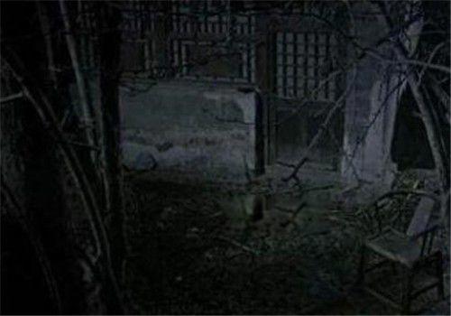 陕西夜狸猫事件真相揭秘 村庄现状到底是真是假