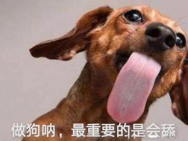 get是什么意思啊 有两种意思第一种最常用