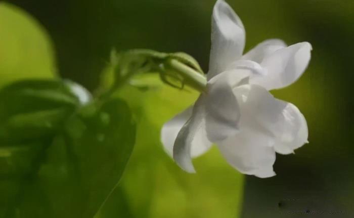 真正厉害的女人都低调 深藏不露的女生是什么样的