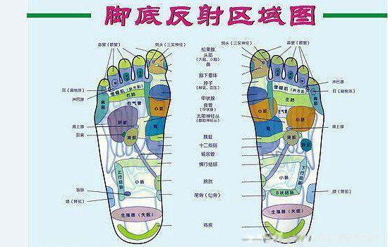 脚的各个部位详细图 各个位置名称图片叫什么