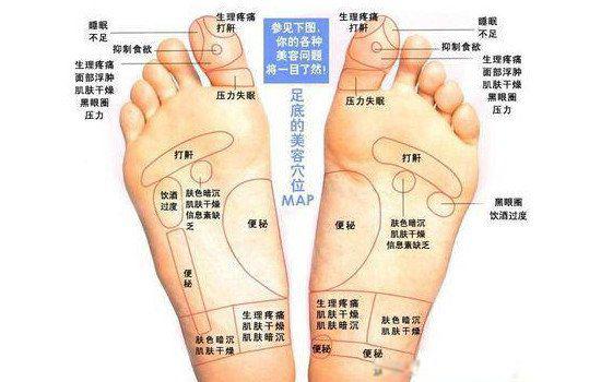 脚的各个部位详细图 各个位置名称图片叫什么