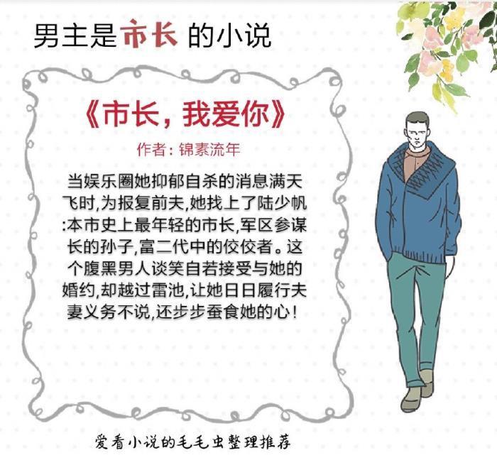 高干文推荐 现代言情男主是市长的小说
