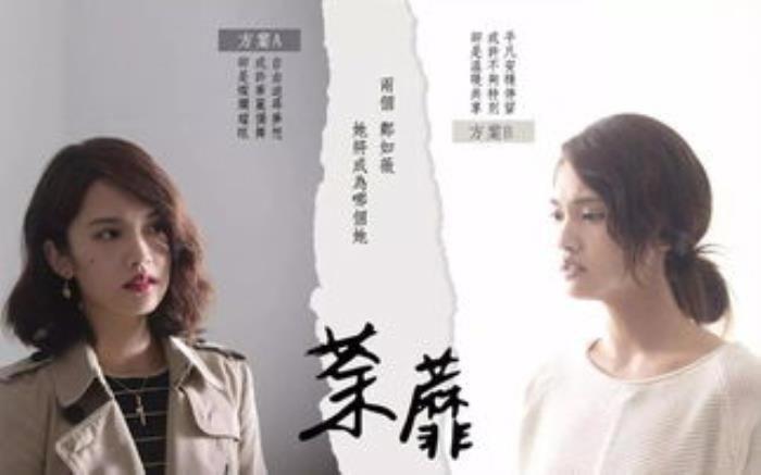 杨丞琳的电视剧《荼靡》 评分高的原因是什么