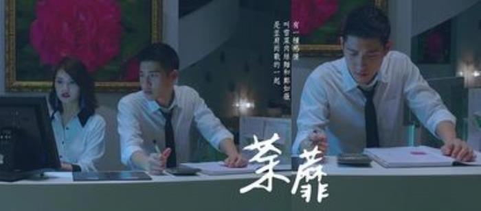杨丞琳的电视剧《荼靡》 评分高的原因是什么