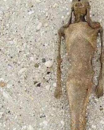 女娲的真面目有多可怕 吓人真身尸骨图很恐怖