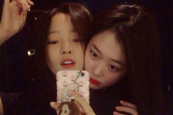 具荷拉和雪莉关系 前后自杀身亡会不会有什么联系