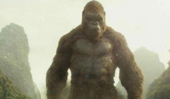 帝王组织怪物档案 最常见的7大怪物图鉴