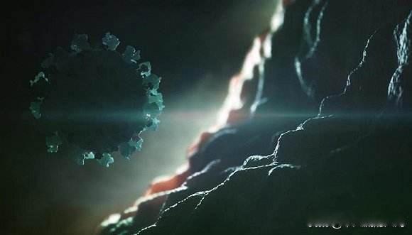 新冠起源地到底是哪 关于病毒的源头调查最新消息