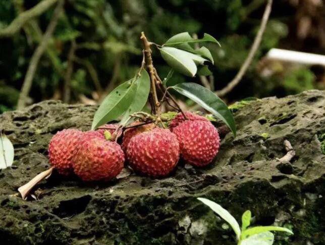 安康一词慎用什么意思 不能随便用安康一词的原因