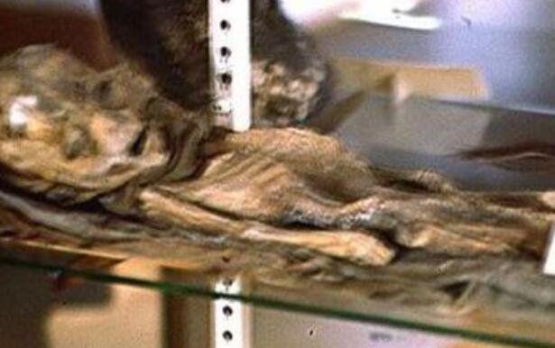 七个外星人真正照片 外星人是什么样子的照片