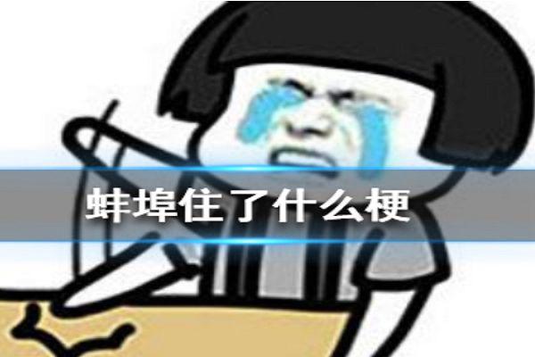 蚌埠住了是什么意思哦 梗怎么来的怎么读语音
