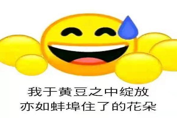 蚌埠住了是什么意思哦 梗怎么来的怎么读语音