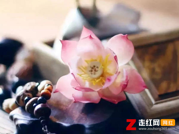 前世我是谁的谁今生我又在等谁是什么歌，今生我在修佛缘歌曲介绍
