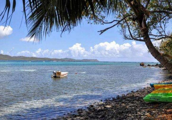 马提尼克岛真的可以长高吗 长高的真相是哪个国家的