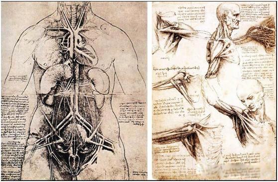 黄金分割点是多少 蒙娜丽莎的黄金分割点在哪