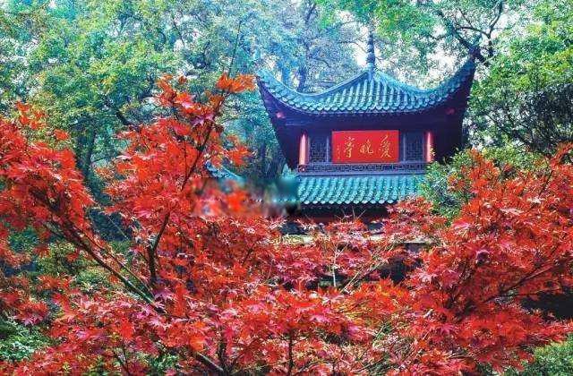 四大名亭是哪四个亭子 位于湖南岳麓山的是什么亭