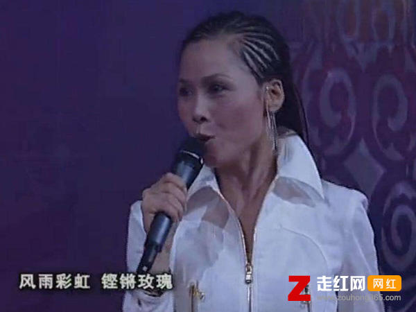 一切美好只是昨日沉醉是什么歌，风雨彩虹铿锵玫瑰歌曲介绍