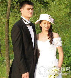 庹宗华老婆有几个 前妻陈思家暴怎么回事