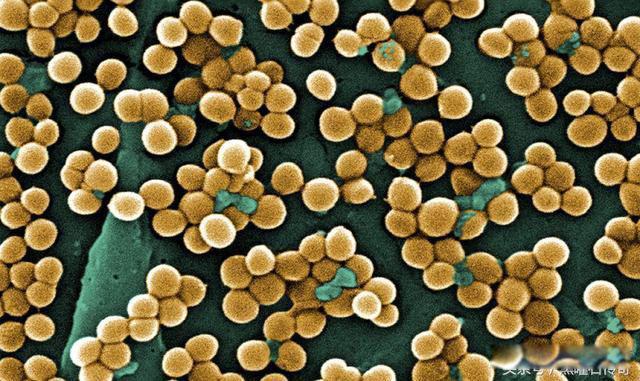 这次疫情的主要来源是哪里 疫情的源头到底来自哪里