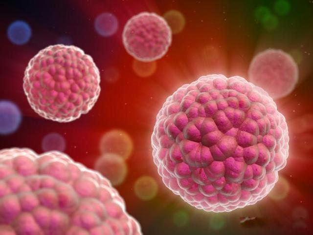 这次疫情的主要来源是哪里 疫情的源头到底来自哪里