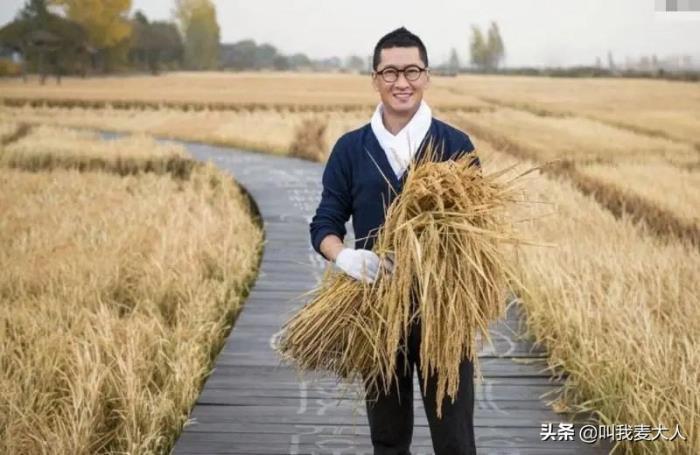 周杰和林心如当年发生了什么事情 为什么退出娱乐圈