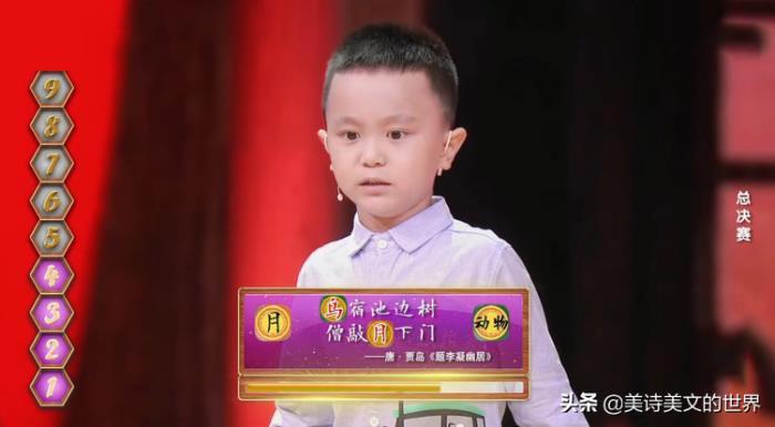 王恒屹个人简介 诗词大会夺冠近况如何