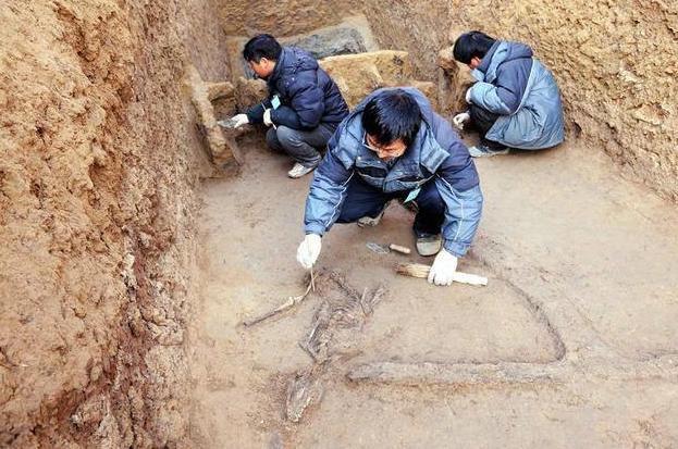 三星堆否定了夏朝 相互印证说明夏朝存在