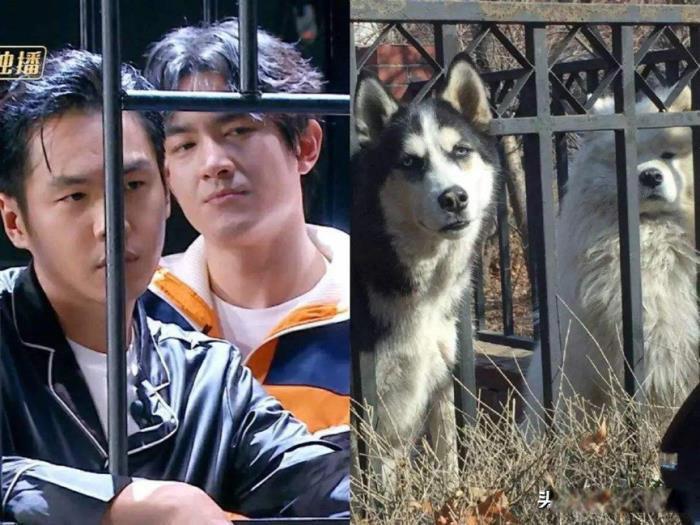 张若昀家世显赫惊呆众人 是一个有骨气的富二代