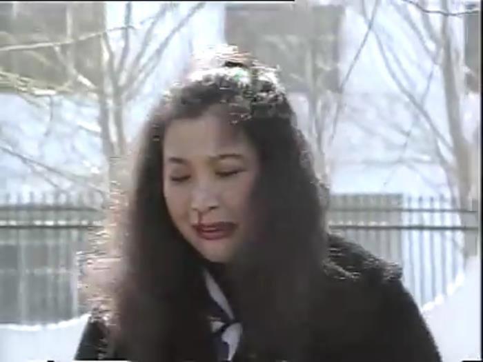 东北乔四爷的电视剧叫啥名 根据乔四改编的电视剧